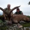 Beceite Ibex Hunting in Spain